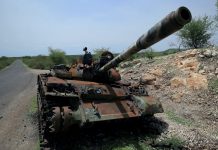 How Eritrea Won Ethiopia’s War Against Tigray