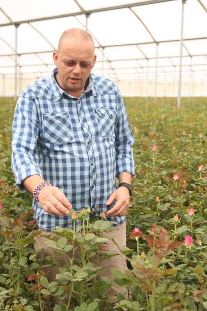 Flower farmers concerned over new regulations by EU