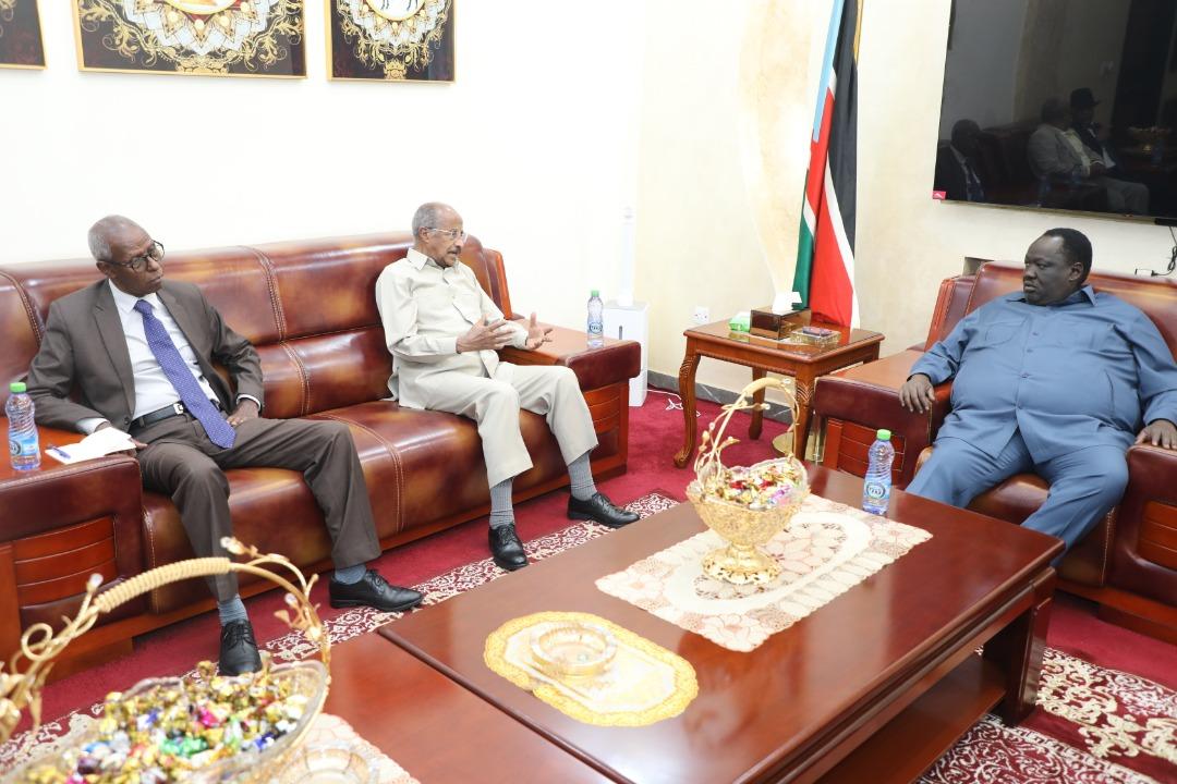Senior Eritrean delegation met with South Sudanese official