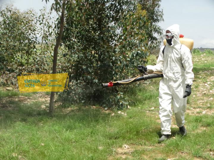 Call for regular surveillance on prevalence of pests Call for regular surveillance on prevalence of pests