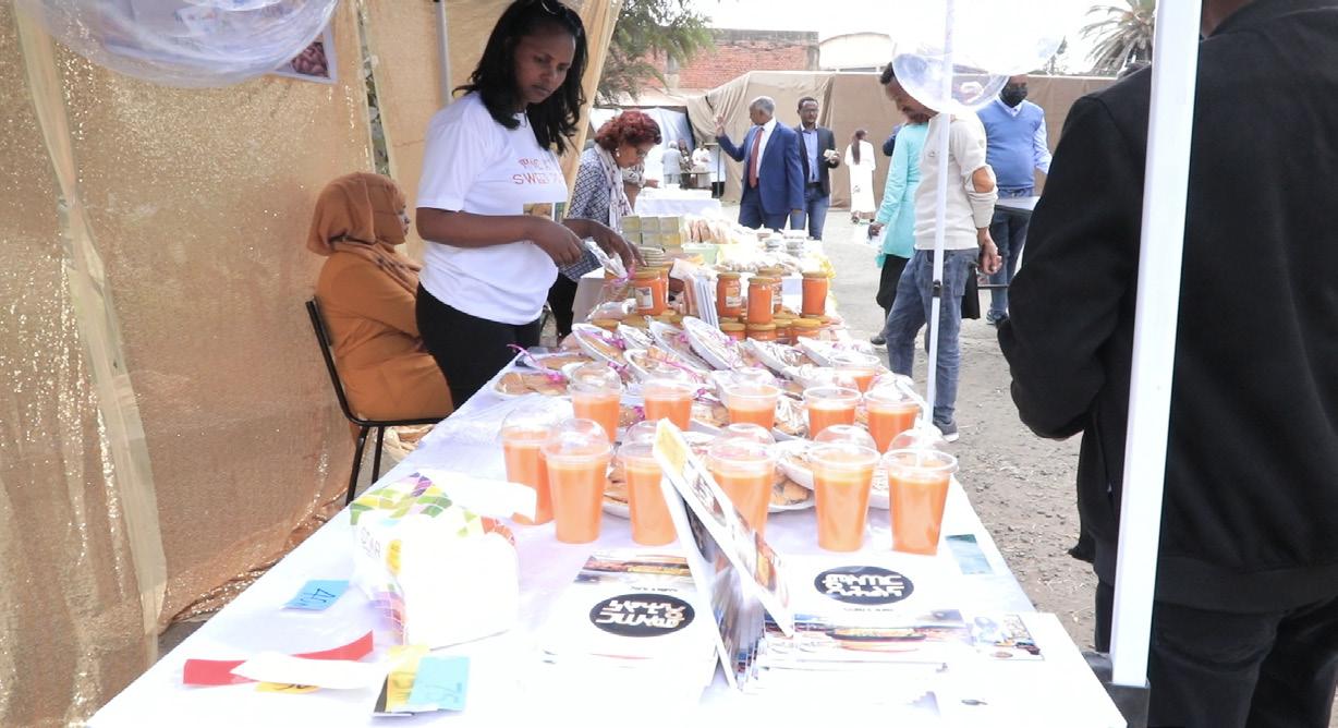 Eritrea Launches Massive Initiative to Promote Production and Popularization of Sweet Potatoes