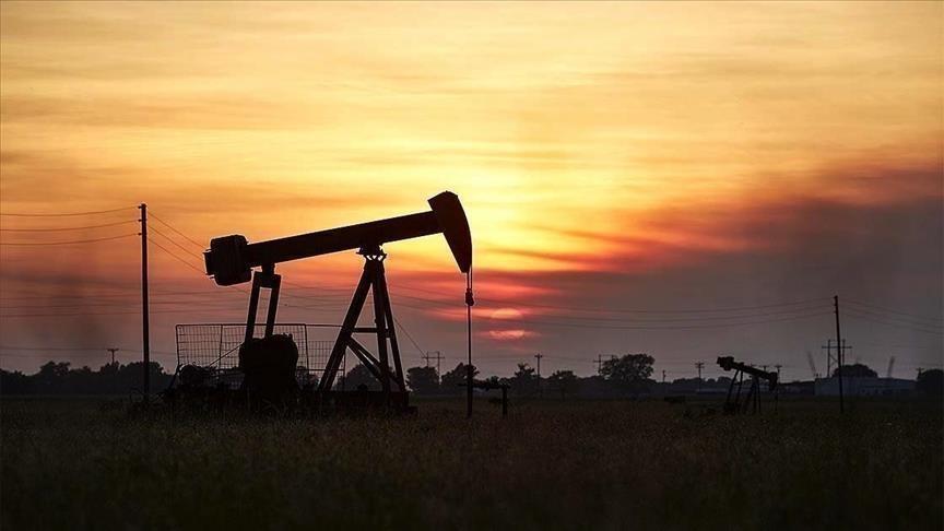 Oil prices fall over weak demand signs in US Oil prices fall over weak demand signs in US