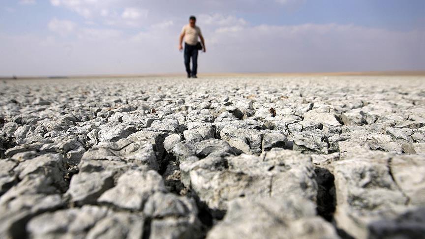 Vicious cycle of climate change, wildfires, air pollution have 'spiraling negative impact' on planet: Report Vicious cycle of climate change, wildfires, air pollution have 'spiraling negative impact' on planet: Report