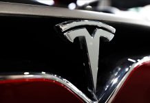 Tesla Sales Plunge in EU Amid Electric Car Surge Tesla Sales Plunge in EU Amid Electric Car Surge
