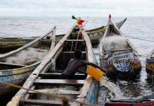 WMO warns of growing water crises amid record heat WMO warns of growing water crises amid record heat