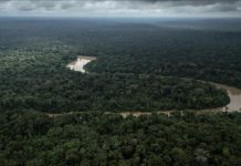 Amazon Fires Surpass Deforestation in Carbon Emissions Amazon Fires Surpass Deforestation in Carbon Emissions