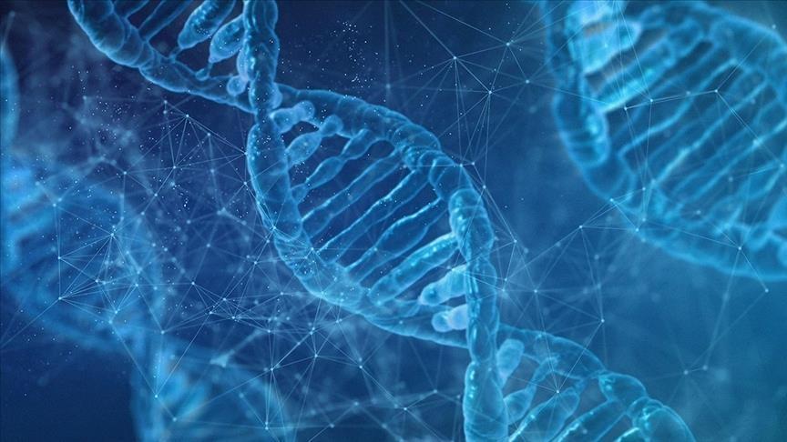 Scientists Develop DNA Tool to Predict Age and Origin Scientists Develop DNA Tool to Predict Age and Origin