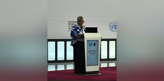 Remarks by Ambassador Sophia at Second World Summit Remarks by Ambassador Sophia at Second World Summit