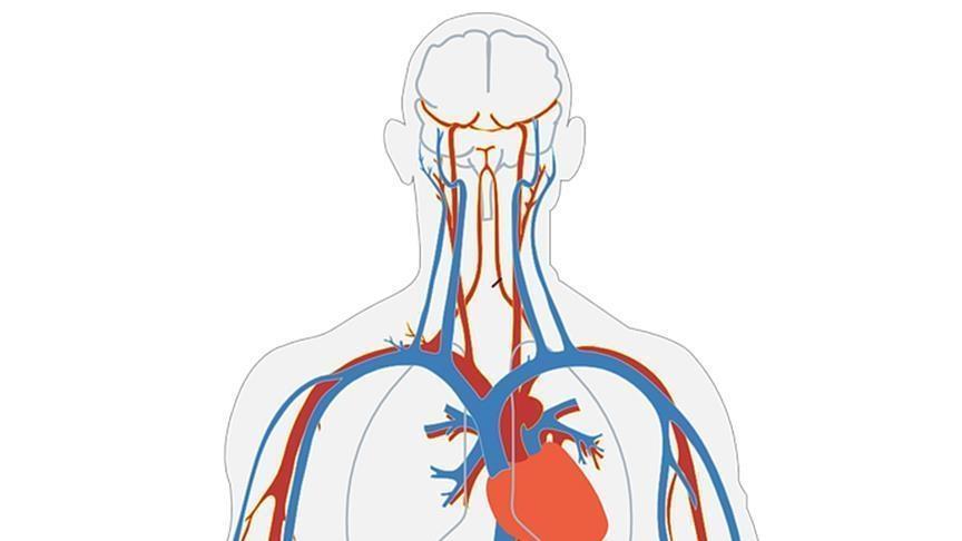 Microrobots Swim through Blood to Deliver Drugs: Study Microrobots Swim through Blood to Deliver Drugs: Study