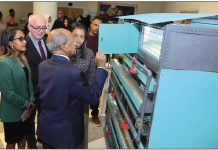 The Akberet Revolution in Urban Poultry Farming The Akberet Revolution in Urban Poultry Farming