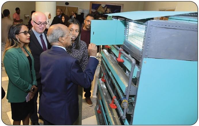 The Akberet Revolution in Urban Poultry Farming The Akberet Revolution in Urban Poultry Farming