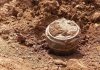 Landmine Casualties Reach Four-Year High Amid Funding Cuts Landmine Casualties Reach Four-Year High Amid Funding Cuts