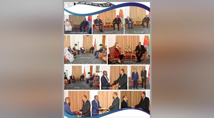 President Isaias Receives Credentials of Ambassadors President Isaias Receives Credentials of Ambassadors