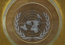 UN Warns 70% of Women Activists Face Online Violence UN Warns 70% of Women Activists Face Online Violence