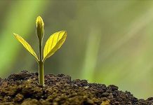 A Decade After Paris Agreement Progress and Promises A Decade After Paris Agreement Progress and Promises