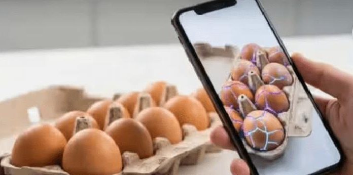 Customer Cracks 20 Eggs with Gemini Nano Gets Refund Customer Cracks 20 Eggs with Gemini Nano Gets Refund