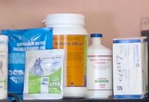 Securing the Future of Antibiotic Therapy Securing the Future of Antibiotic Therapy