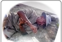 Preserving Heritage at Eritrea’s National Museum Preserving Heritage at Eritrea's National Museum