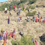 Extensive Water and Soil Conservation Activities in Adi-Keih Sub-Zone Extensive Water and Soil Conservation Activities in Adi-Keih Sub-Zone