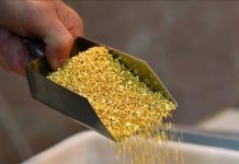 Gold posts best monthly performance since September 1999 Gold posts best monthly performance since September 1999