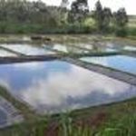 Africa’s Fishing Industry Potential Untapped Africa's Fishing Industry Potential Untapped