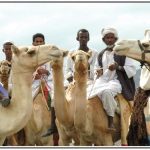 Living Symbols of a Resilient and Diverse Nation Living Symbols of a Resilient and Diverse Nation