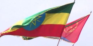 Ethiopia Urges Eritrea to Withdraw Troops to Border Ethiopia Urges Eritrea to Withdraw Troops to Border