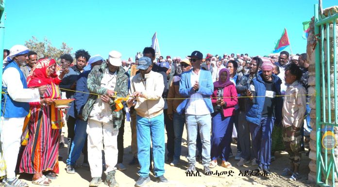 Festival Aimed at Preserving Traditional Culture Festival Aimed at Preserving Traditional Culture