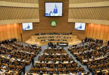 Africa: Resetting Development Agenda Africa: Resetting Development Agenda