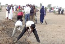 Extensive water and soil conservation popular campaign Extensive water and soil conservation popular campaign