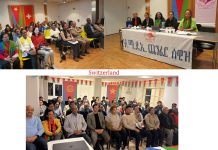 Various Activities by Diaspora Nationals Various Activities by Diaspora Nationals