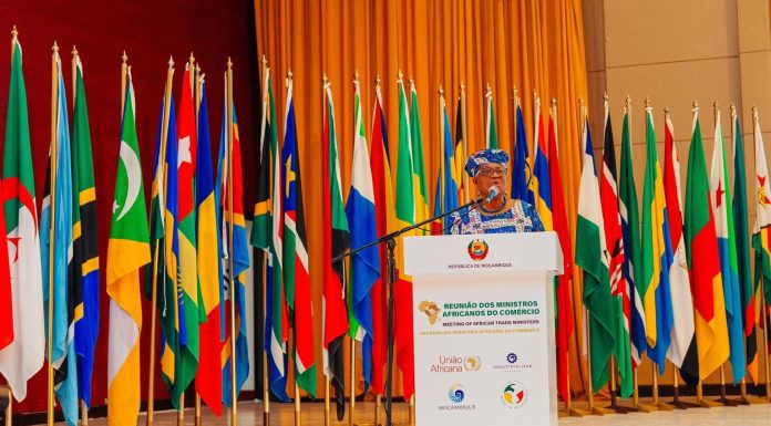 WTO Seeks $5 Billion for Africa’s Cotton Processing WTO Seeks $5 Billion for Africa's Cotton Processing