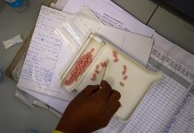 Rising Anger over ‘Lopsided’ Health Funding Agreements Rising Anger over 'Lopsided' Health Funding Agreements