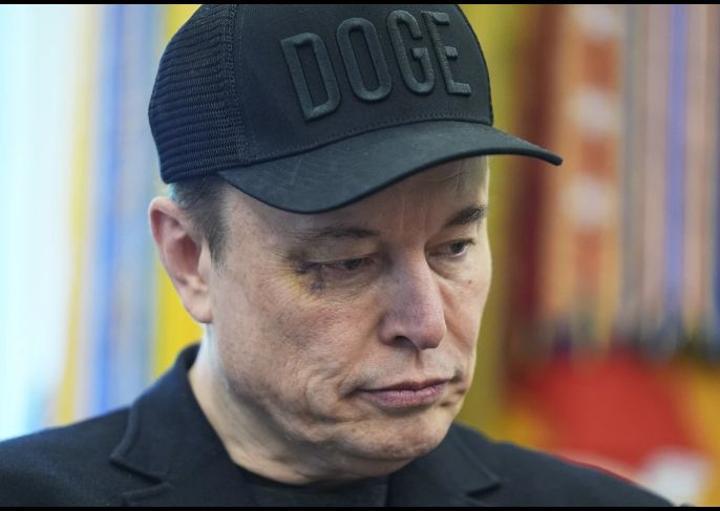 Elon Musk Misled Twitter Investors, Jury Finds Elon Musk Misled Twitter Investors, Jury Finds