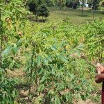 Iran War Sparks Global Fertilizer Shortage Iran War Sparks Global Fertilizer Shortage