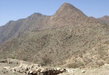 Exploring Eritrea’s Resilient Sahel: A Historical Journey Exploring Eritrea’s Resilient Sahel: A Historical Journey