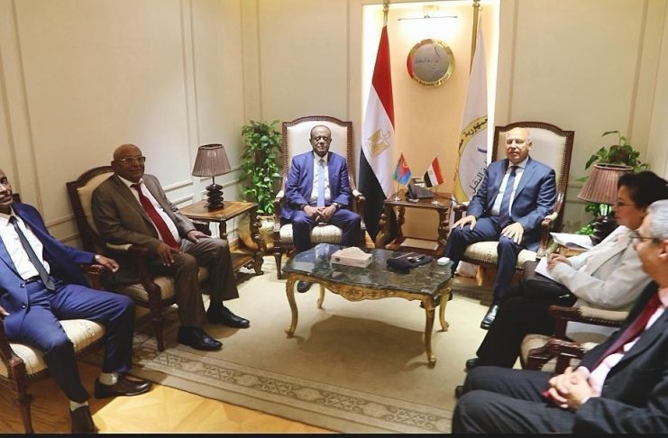 Eritrean delegation met with various Egyptian officials Eritrean delegation met with various Egyptian officials