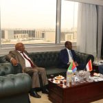 Egypt and Eritrea Collaborate on Solar Energy Initiatives Egypt and Eritrea Collaborate on Solar Energy Initiatives