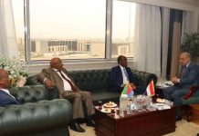 Egypt and Eritrea Collaborate on Solar Energy Initiatives Egypt and Eritrea Collaborate on Solar Energy Initiatives