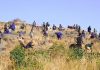 Eritrean Workers Celebrate International Workers’ Day 2026 Eritrean Workers Celebrate International Workers’ Day 2026