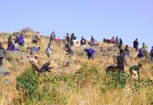 Eritrean Workers Celebrate International Workers’ Day 2026 Eritrean Workers Celebrate International Workers’ Day 2026