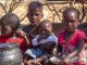 African Governments Urged to Tackle Fertilizer Shortages African Governments Urged to Tackle Fertilizer Shortages