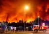 Europe, North Africa Brace for Record Wildfires Europe, North Africa Brace for Record Wildfires