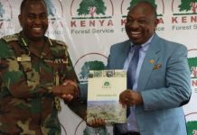 KFS volleyball team returns to national league