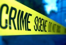 Thieves poison dogs, steal jewelry from Muthaiga home