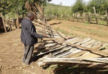 Locals raise alarm over wildlife threat