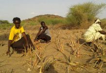 Concern over high malnutrition rates in West Pokot