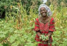 Farmers rush for limited subsidized fertiliser