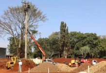 Debate rages on felling of Mugumo tree Moi planted