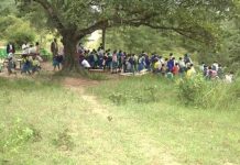 Pupils arrive at school drunk after stumbling on local brew